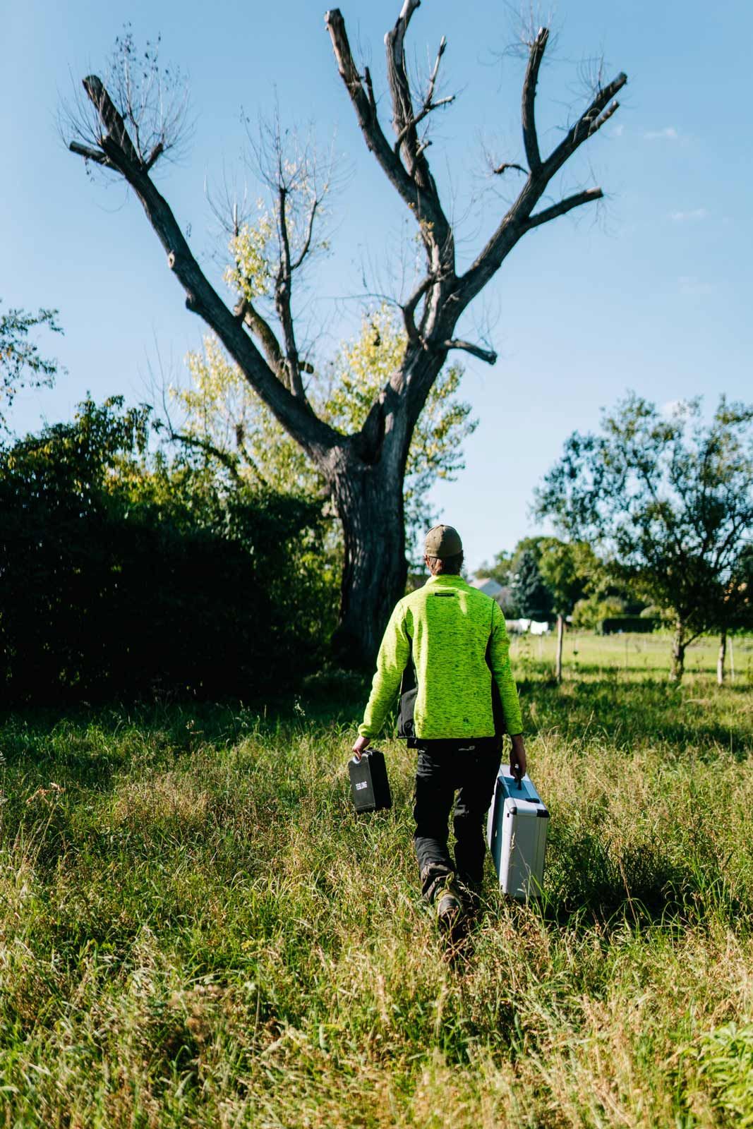 Mitarbeiter vor großen Baum zur Baumkontrolle