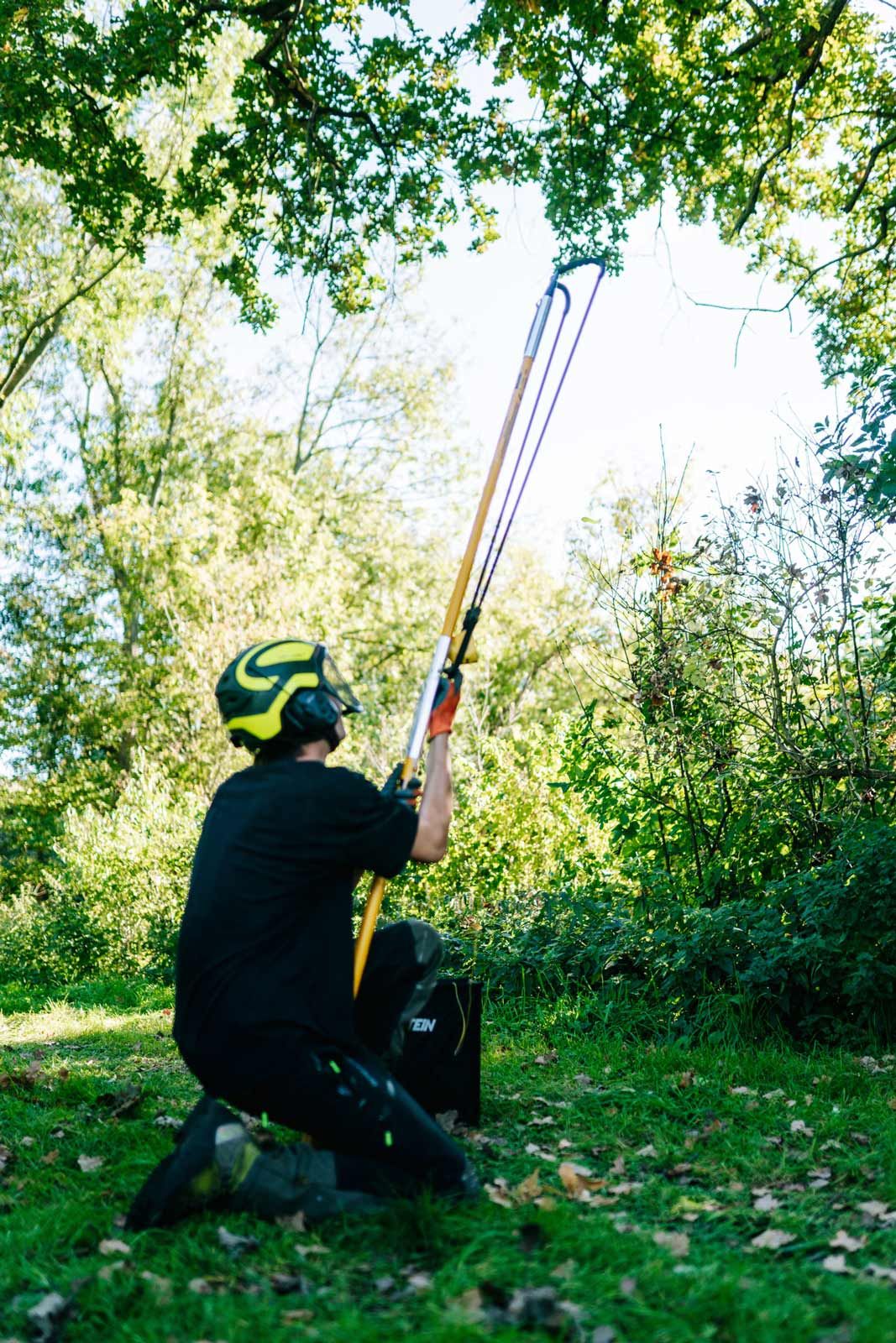 European Tree Worker beim Astschnitt