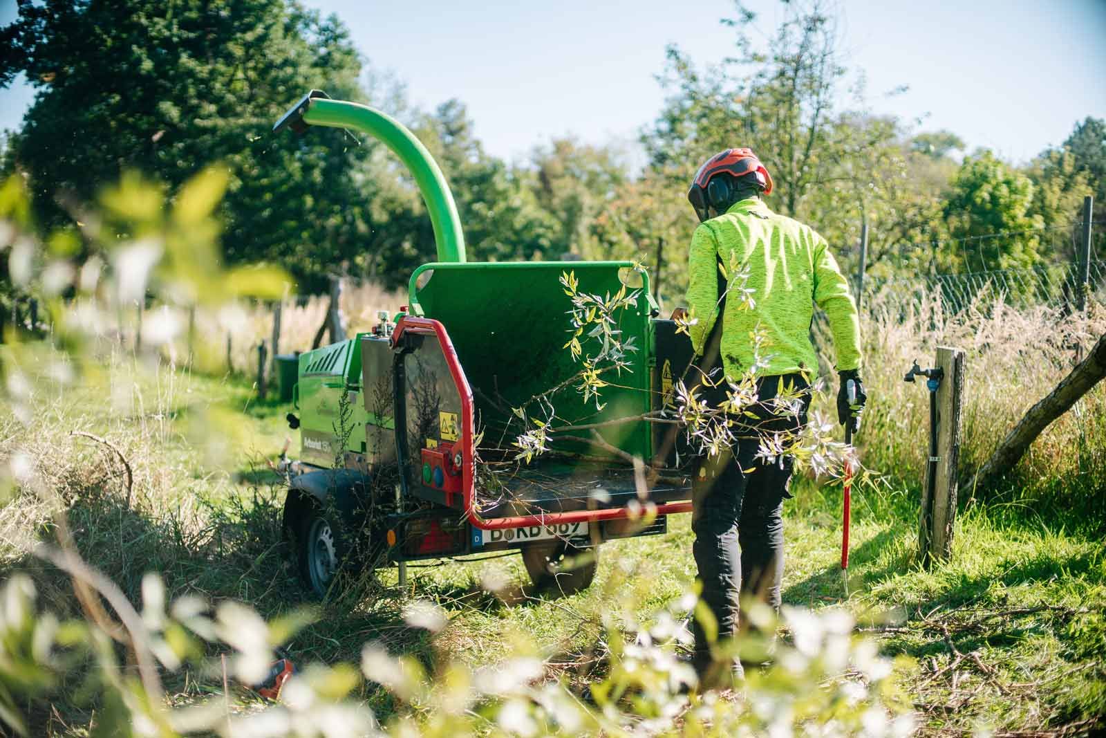 Mitarbeiter schreddert Astwerk in Maschine