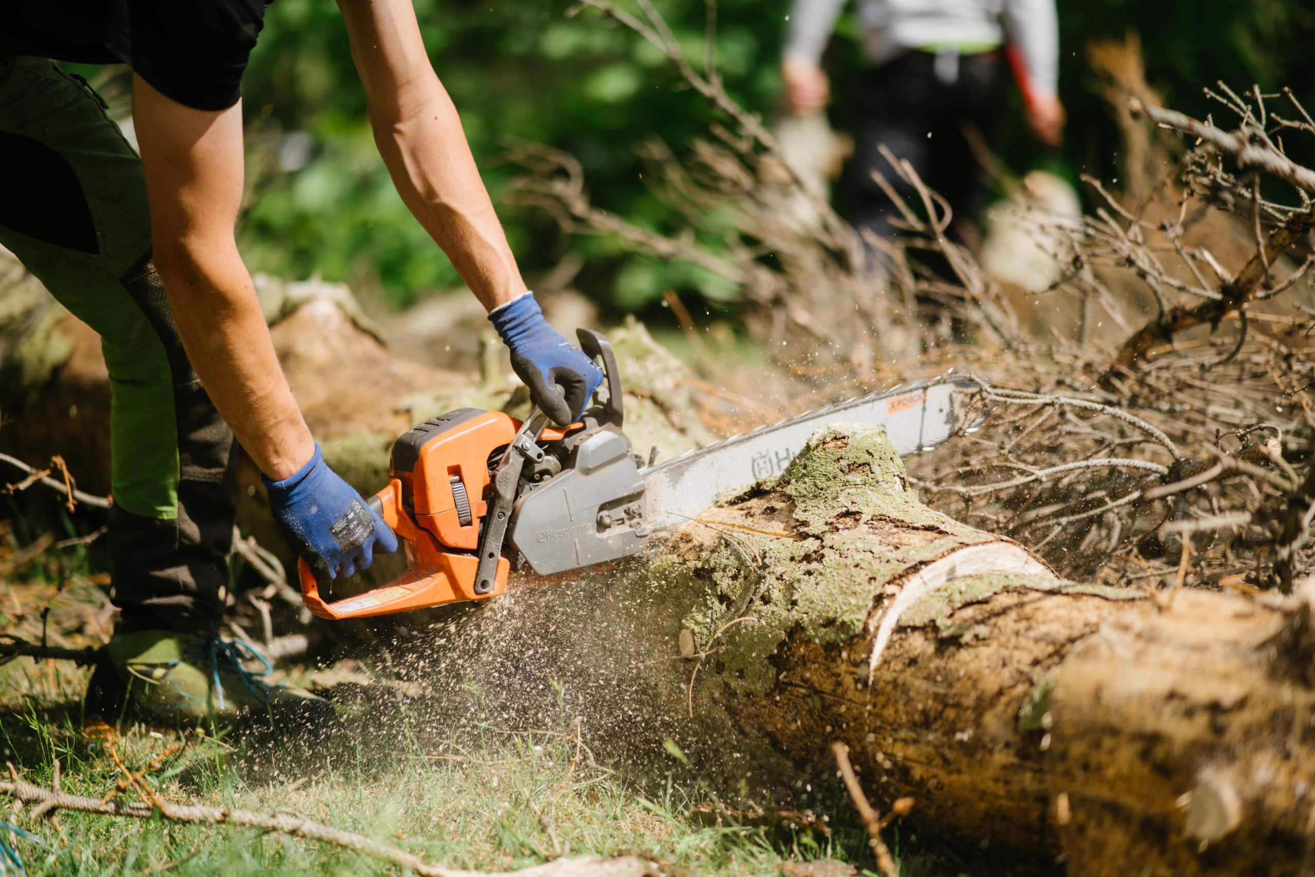 Baumpfleger schneidet Baumstück mit Kettensäge